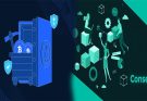 A Comparison of Consensus Algorithms