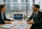 What is a Mainland Business Set up in Dubai?